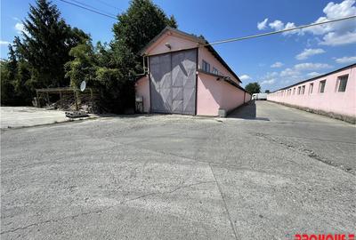 Spațiu comercial, de 400 mp, în Letea - 9