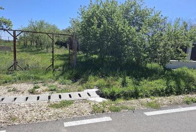 Teren de 4300 mp, în Vedea - 6