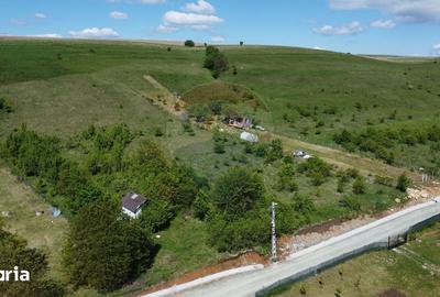 Teren de 2307 mp, în Ciurila - 2