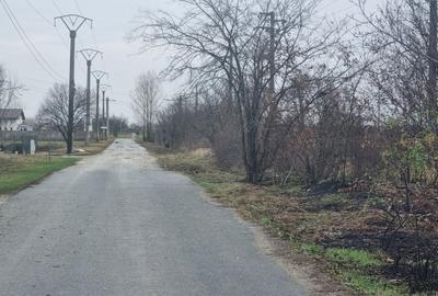Teren Construcții intravilan de 500 mp, în 1 Decembrie - 11