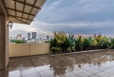 Penthouse cu 4 camere semidecomandat, mobilat în Aviației - 17