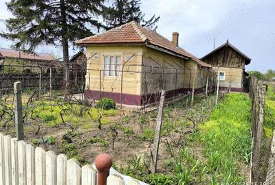 Casă cu 2 camere cu Teren 1900 Mp în Central - 9