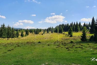 Teren Construcții intravilan de 10814 mp, în Beliș - 2