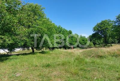 Teren intravilan oportunitate investitie parcelabil 7200 mp Cisnadie Teren intravilan oportunitate investitie parcelabil 7200 mp Cisnadie - 2