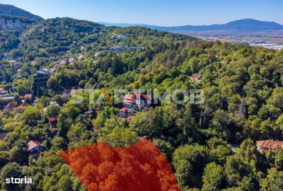 Teren de 2385 mp, în Schei - 13