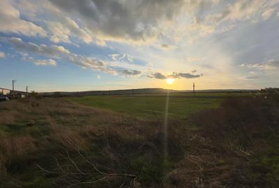 Teren si proiect, 15813mp, fata Skoda - 8