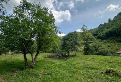 Teren 2 hectare pe Valea Ariesului, zona Scarita-Belioara, pret oportun 2 Eur/mp - 7