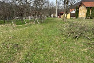 Teren de 1700 mp, în Bulz