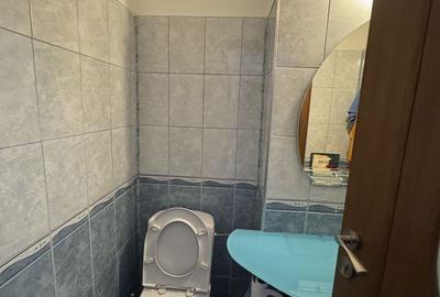 Apartament cu 3 camere decomandat în Micălaca - 3