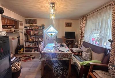 Casă cu 3 camere cu Teren 13000 Mp în Central - 4