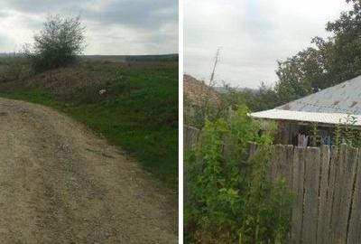 Casă cu 3 camere în Covrag - 1