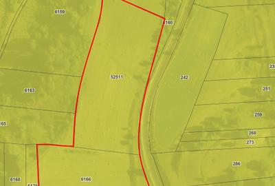 Teren agricol extravilan 3ha in comuna Saschiz - 3