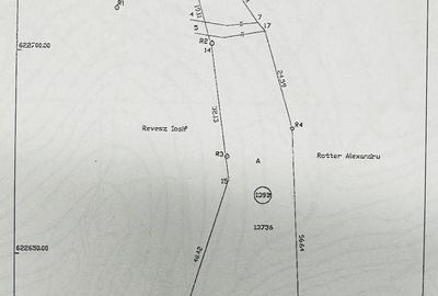 Spațiu comercial, în Central