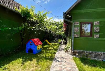 Direct proprietar vand casu?a superba la tara - 6