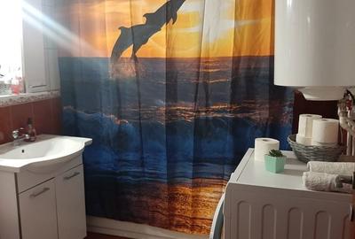 Casă cu 3 camere în Slătioara (Râșca) - 5