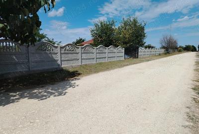 Casa de vanzare in sat LANURILE - 29