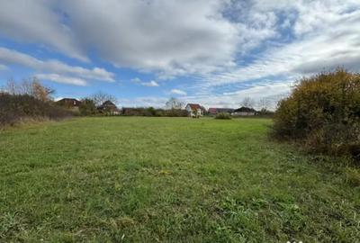 Teren de 3432 mp, în Mogoșești - 4