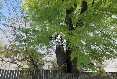 Teren de 880 mp, în Central