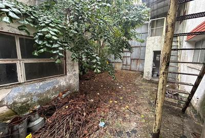 Rahova,Alexandriei,Lukoil, Str Teiului,219 mp teren,P+1,Necesita RENOVARE - 12