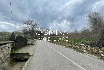 Teren de 2845 mp, în Runcu - 8