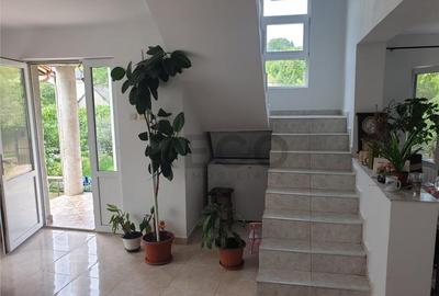 Casă cu 4 camere cu Teren 4300 Mp în Dealuri Oradea - 3