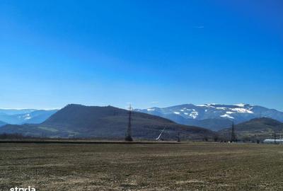 Teren de 2800 mp, în Turnu Roșu - 3