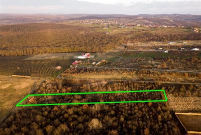 Teren intravilan de 4333 mp, în Săldăbagiu de Munte - 4