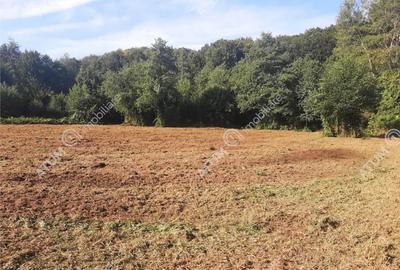 Teren de 1925 mp, în Avrig - 3