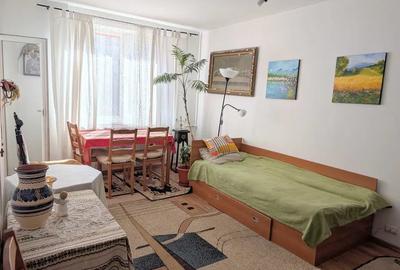 Apartament 2 camere Calea Mosilor - 4