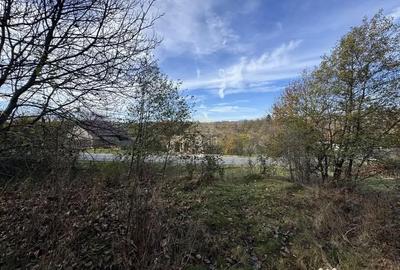 Teren de 13167 mp, în Bughea de Sus - 7