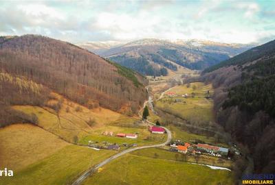 Teren de 5425 mp, în Vama Buzăului - 4