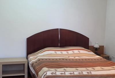 Vila de vanzare cu teren generos zona Ciolpani - 21