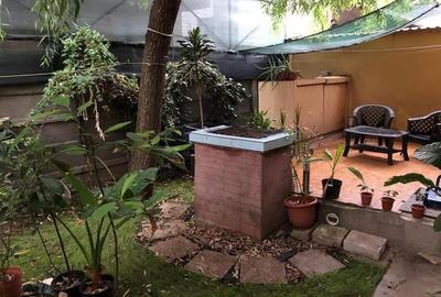 Vanzare Vila P+1+M Ctin Brancoveanu - 9