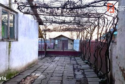 Casă cu 7 camere cu Teren 1458 Mp în Lenauheim - 2