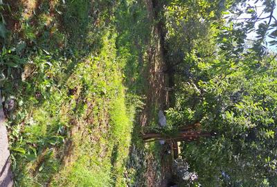 Casă cu 4 camere în Nord - 11