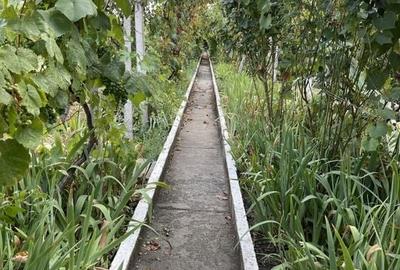 Casa | 9 camere | Garaj | Piscina | Teren 3.000 mp | Comision 0% Casa | 9 camere | Garaj | Piscina | Teren 3.000 mp | Comision 0% - 45