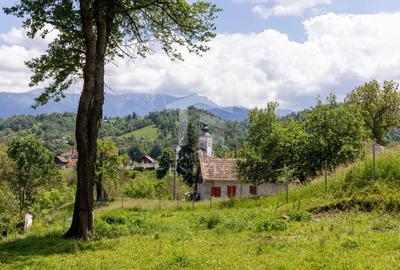 Teren Construcții intravilan de 11381 mp, în Moieciu - 5