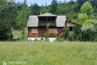 Cabana de vanzare in Lunca Bradului
