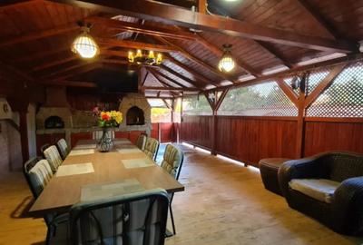 Casă cu 7 camere cu Teren 965 Mp în Dobroești - 17