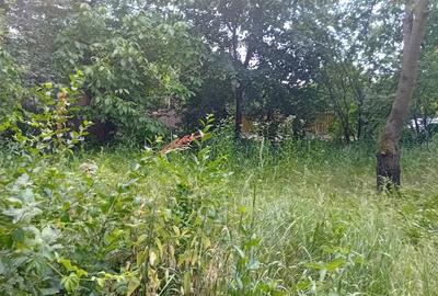 Casa de Inchiriat in zona Tintea - 5