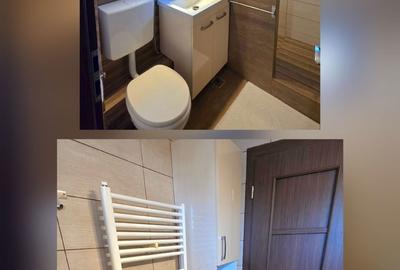Apartament cu 3 camere decomandat în Dosu Bricii - 2