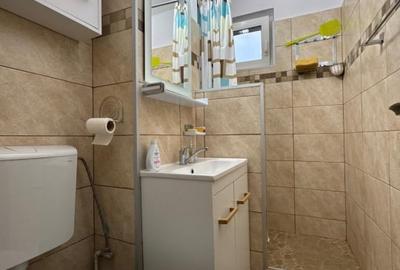 Astra, str. Liviu Cornel Babes ap cu 2 camere de inchiriat, prima inchiriere - 12