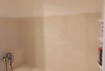 Drumul Taberei, ANL Brancusi, Coloana Infinitului, ocazie! - 5