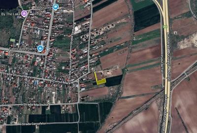 Teren excelent pozitionat la 15 min de capitala, in Caciulati - 2