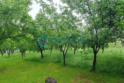 Casă individuală cu 2 camere cu Teren 1380 Mp în Teișani - 6