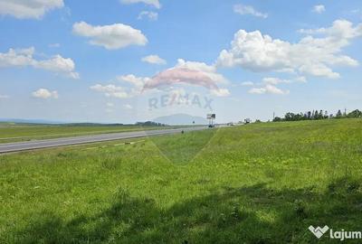 Teren de 7000 mp, în Ilișești - 12