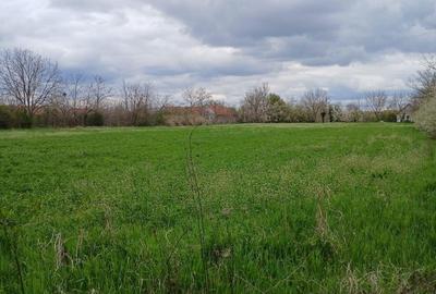 Teren de 6500 mp, în Hitiaș - 8