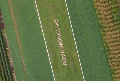 Teren de 4500 mp, în Central - 3