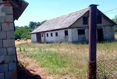 Teren în Beliu - 4
