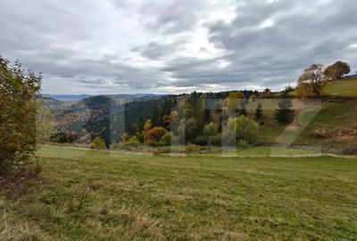 Teren de 6200 mp, în Florești - 1